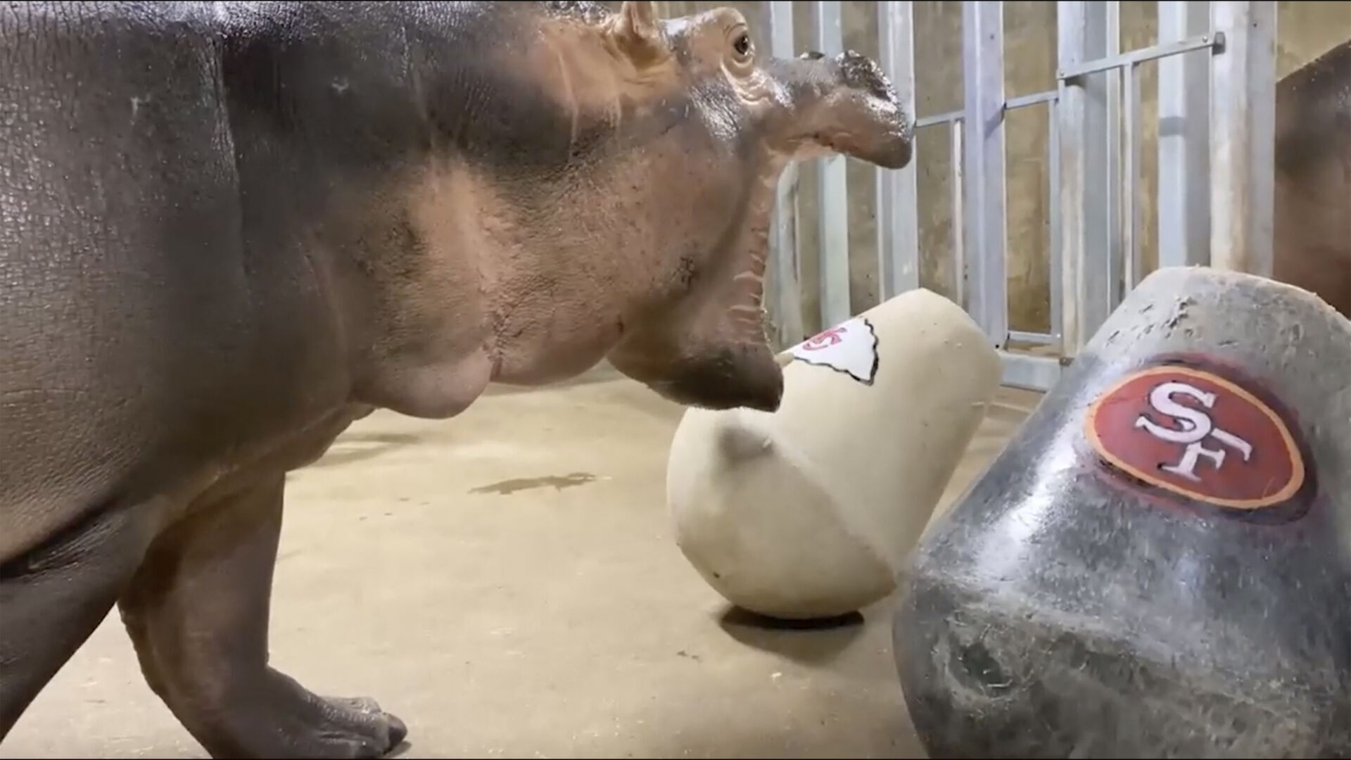 Fiona